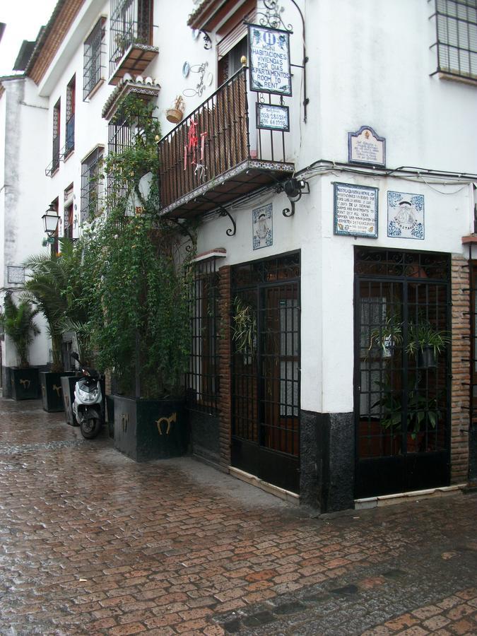 Affittacamere La Castanuela Albayzin Granada